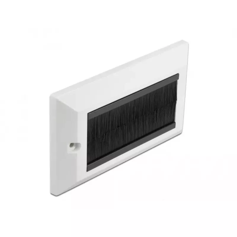 Wall Plate DeLOCK 66492 White