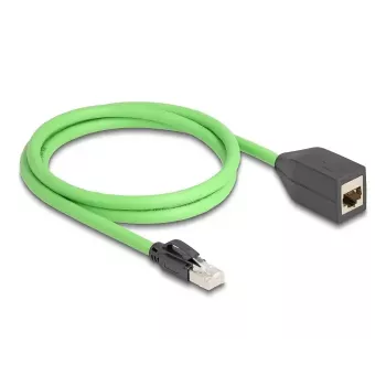 Networking cable DeLOCK 80880 RJ-45 Cat6a 1 m Green