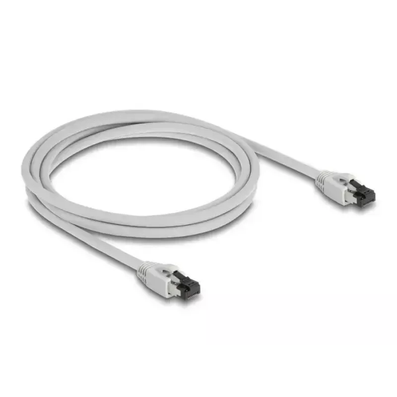 Networking Cable DeLOCK 80560 RJ-45 Cat8.1 2m Grey
