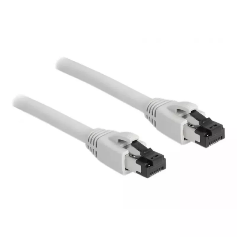 Networking Cable DeLOCK 80560 RJ-45 Cat8.1 2m Grey