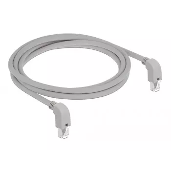 Networking Cable DeLOCK 85878 2m Cat6a S/FTP Grey