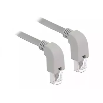 Networking Cable DeLOCK 85878 2m Cat6a S/FTP Grey