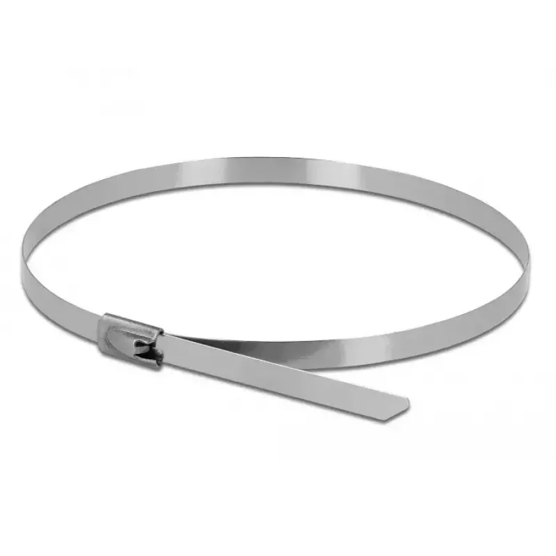 Releasable cable tie DeLOCK 18770