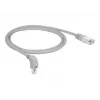 Networking Cable DeLOCK 85865 1m Cat6 S/FTP Grey