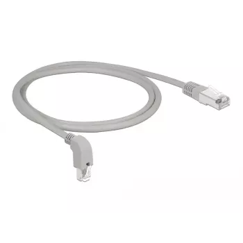 Networking Cable DeLOCK 85865 1m Cat6 S/FTP Grey