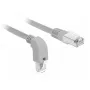 Networking Cable DeLOCK 85865 1m Cat6 S/FTP Grey