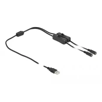 USB Type-A male to 2 x DC 5.5 x 2.1 mm female with switch 1 m DeLOCK 86797