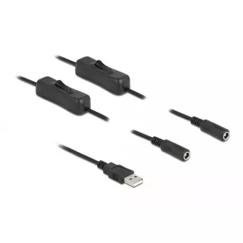USB Type-A male to 2 x DC 5.5 x 2.1 mm female with switch 1 m DeLOCK 86797