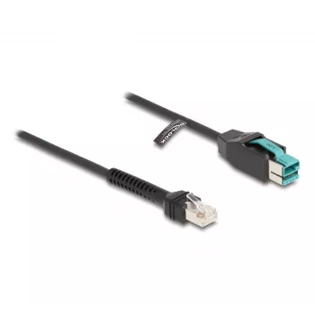 DeLOCK Coiled Cable RJ50 male to PoweredUSB male 12 V 3 m black