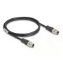 Network Cable DeLOCK M12 Cable X-coded 8 pin male to male Cat5e 1 m Black