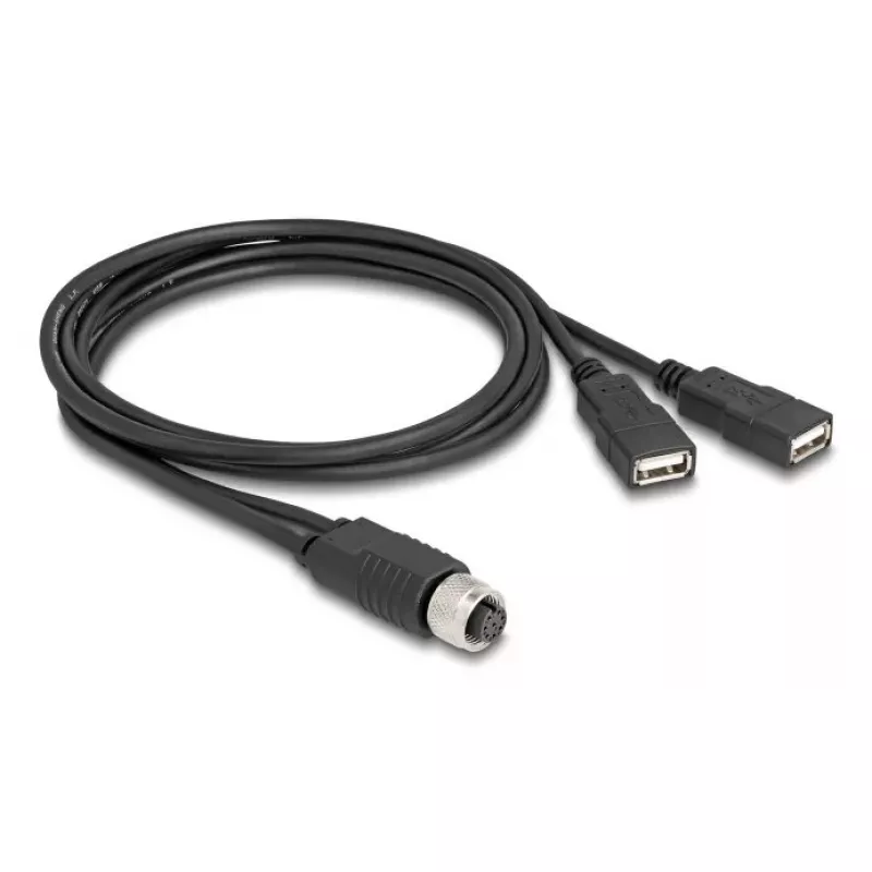 DeLOCK sensor/actuator cable 1 m M12 2 x USB Type-A Black 60290