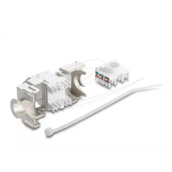 Keystone module DELOCK 90938 — RJ-45 Cat.6A shielded flat keystone, white