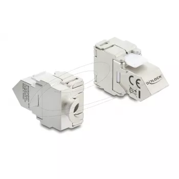 Keystone module DELOCK 90938 — RJ-45 Cat.6A shielded flat keystone, white