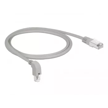 Networking cable DeLOCK 85874 RJ-45 Cat6a 1 m Grey