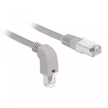 Networking cable DeLOCK 85874 RJ-45 Cat6a 1 m Grey