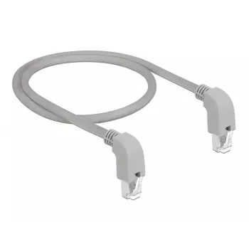 Networking Cable DeLOCK 85859 Cat5e SF/UTP 1m Grey