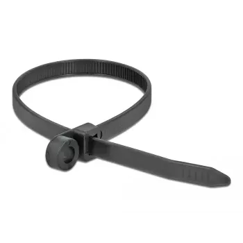 Parallel entry cable tie DeLOCK 18952