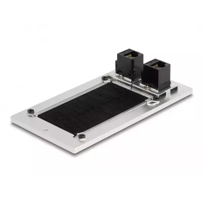 DeLOCK Cable entry with brush and 2 x RJ45 Keystone module Cat.6 aluminium