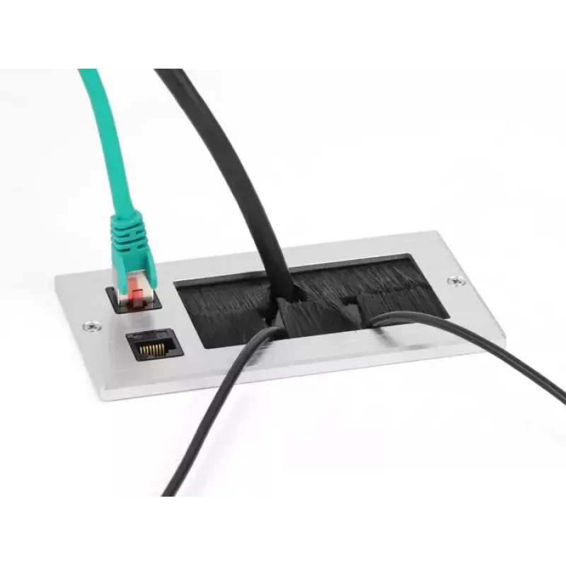 DeLOCK Cable entry with brush and 2 x RJ45 Keystone module Cat.6 aluminium