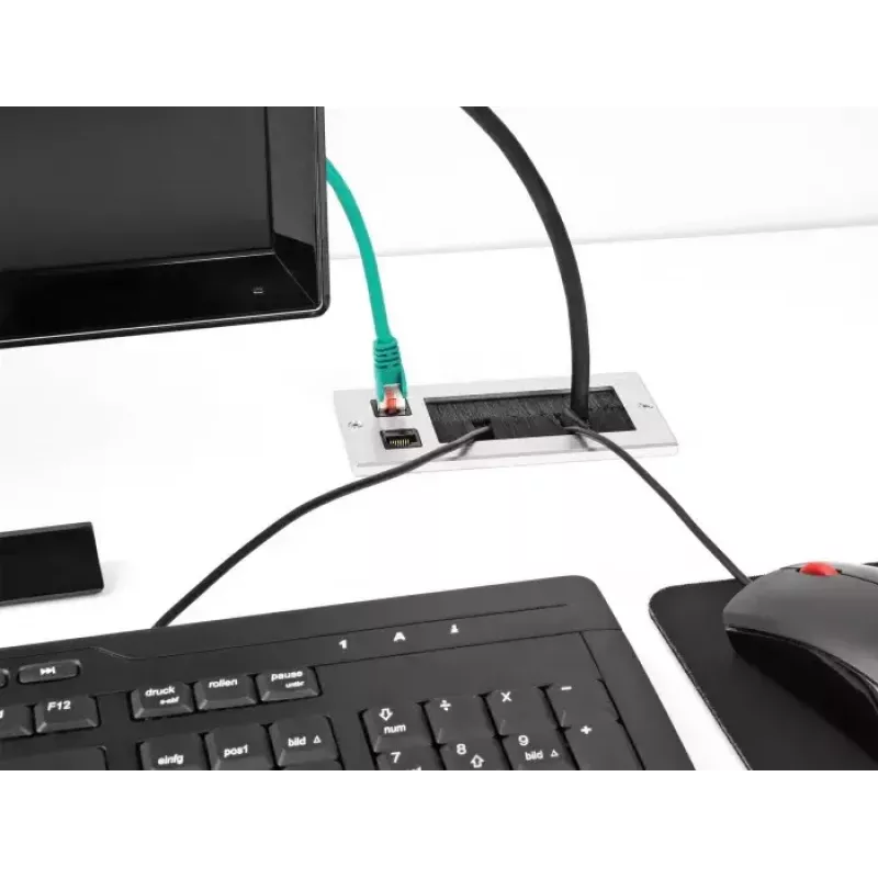 DeLOCK Cable entry with brush and 2 x RJ45 Keystone module Cat.6 aluminium