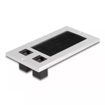 DeLOCK Cable entry with brush and 2 x RJ45 Keystone module Cat.6 aluminium