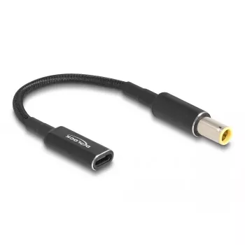 DeLOCK Adapter Cable USB Type-C Female to IBM 7.9 x 5.5 mm Male 15 cm