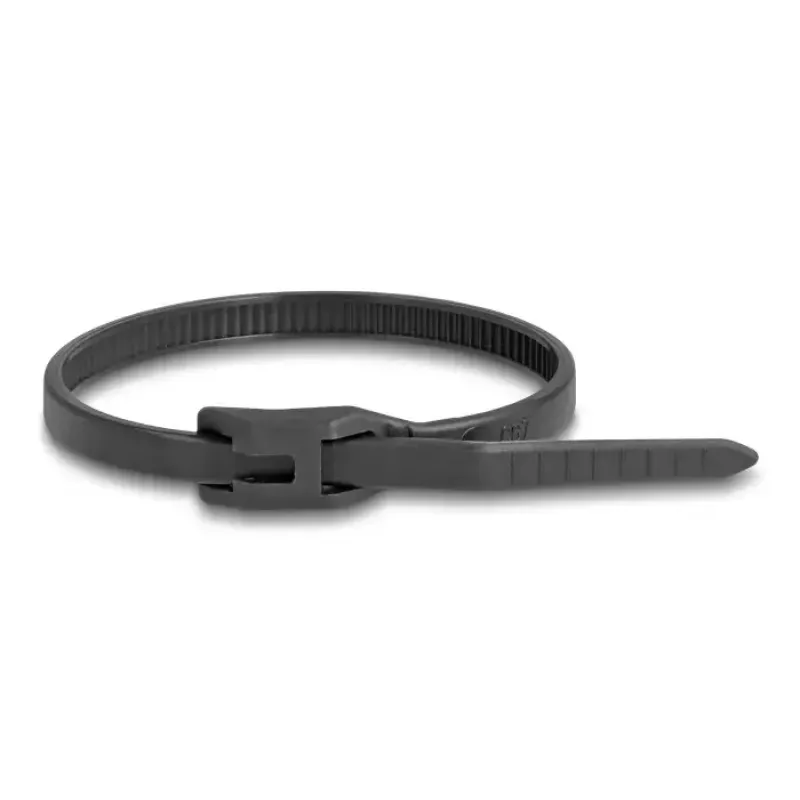 Releasable cable tie DeLOCK 19467 Polyamide Black 150mm 100pcs