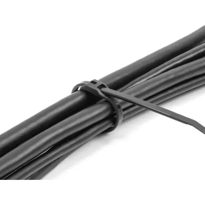 Releasable cable tie DeLOCK 19465 Polyamide Black 110mm 100 pcs