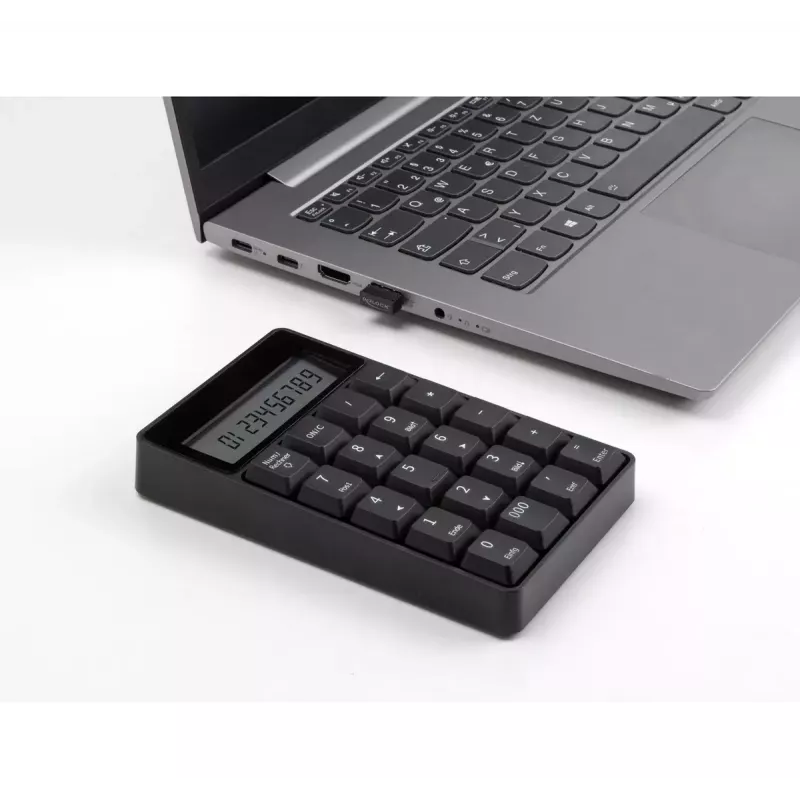 Numeric Keypad DeLOCK 12113 USB Black 20 Keys Universal