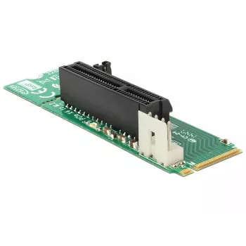 Internal M.2 Adapter DeLOCK 62584