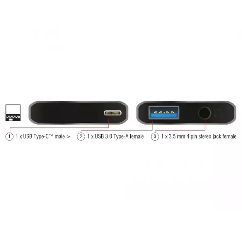 Laptop Dock DeLOCK 63965 Anthracite