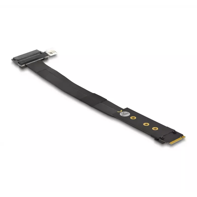 DeLOCK M.2 Key M to U.2 SFF-8639 NVMe Adapter with 20 cm cable