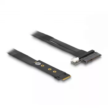 DeLOCK M.2 Key M to U.2 SFF-8639 NVMe Adapter with 20 cm cable