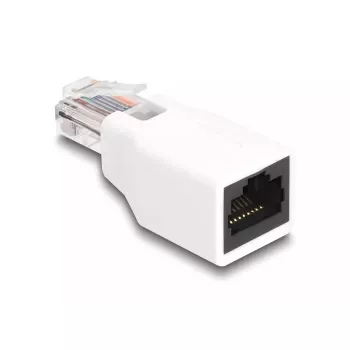 DeLOCK 88002 Cable Gender Changer RJ50 White