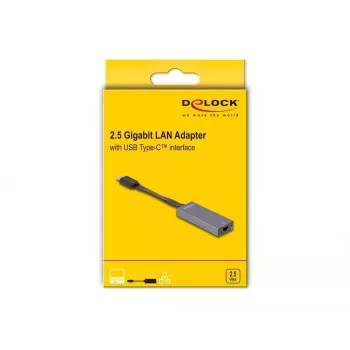 DeLOCK 66248 cable gender changer RJ-45 USB C Grey 0.09m
