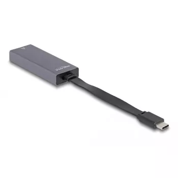 DeLOCK 66248 cable gender changer RJ-45 USB C Grey 0.09m
