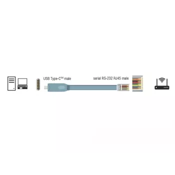 Serial Cable DeLOCK 89892 USB 2.0 Type-A RJ45 Grey 5m