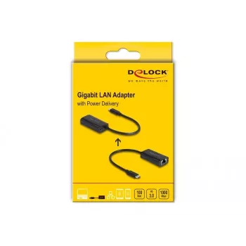 DeLOCK 61026 cable gender changer USB C RJ45 Black