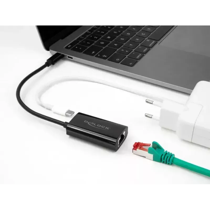 DeLOCK 61026 cable gender changer USB C RJ45 Black