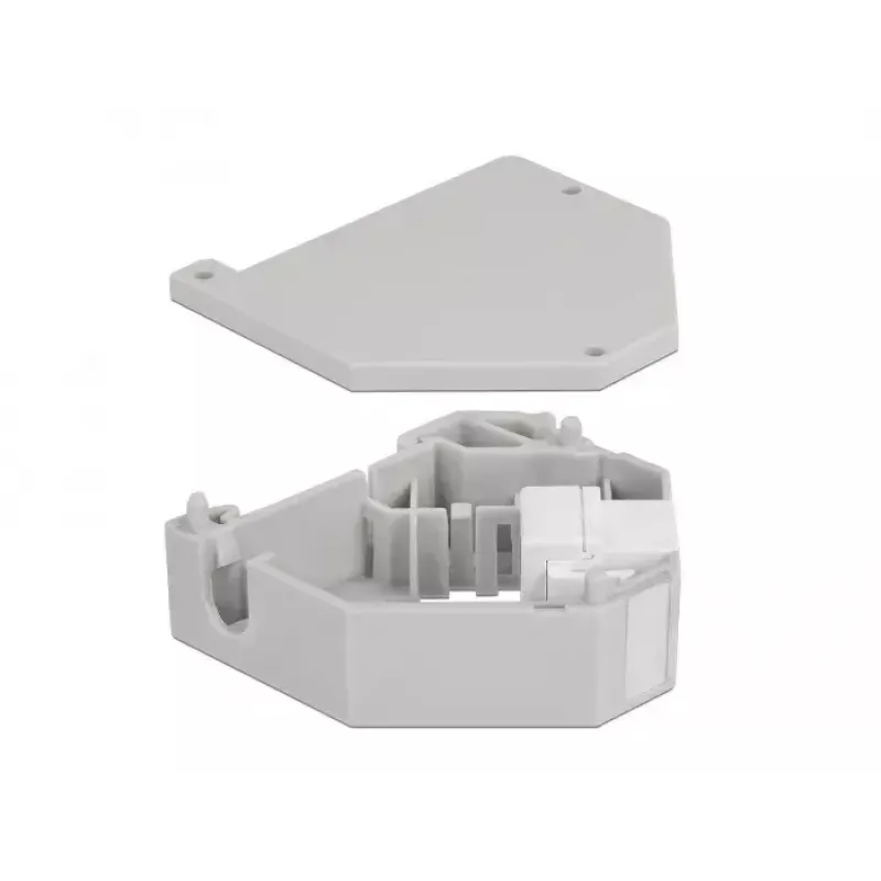 Keystone module DELOCK 87163 — USB A to USB A, grey/white, 60.1×59.4×21.6 mm