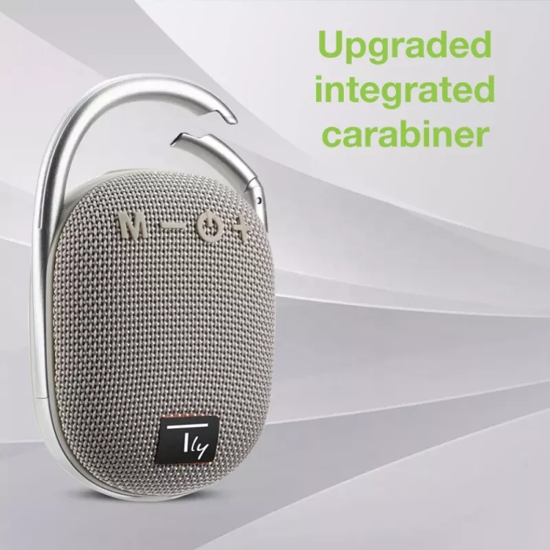 Techly ICASBL321GR portable/party speaker Mono portable speaker Grey 5 W