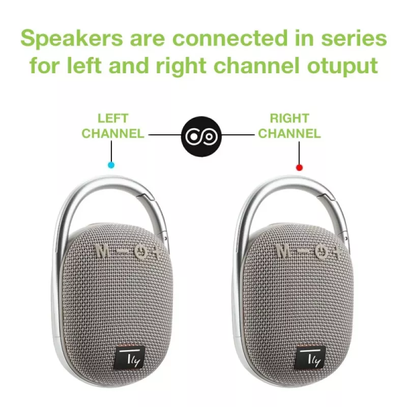 Techly ICASBL321GR portable/party speaker Mono portable speaker Grey 5 W