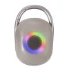 Techly ICASBL321GR portable/party speaker Mono portable speaker Grey 5 W