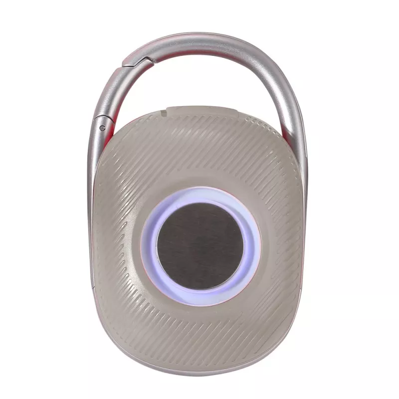 Techly ICASBL321GR portable/party speaker Mono portable speaker Grey 5 W