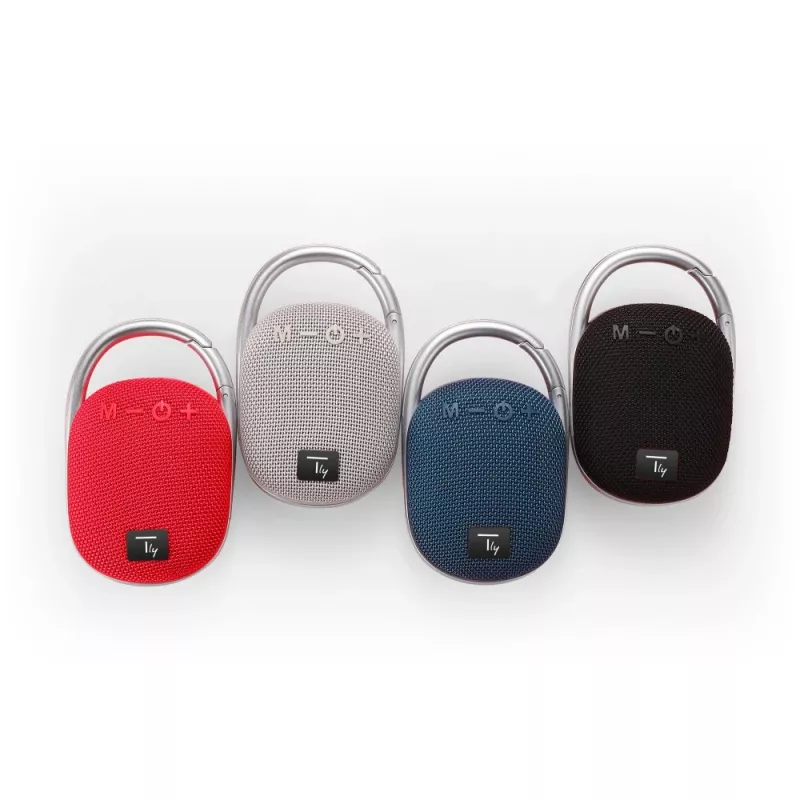 Techly ICASBL321GR portable/party speaker Mono portable speaker Grey 5 W