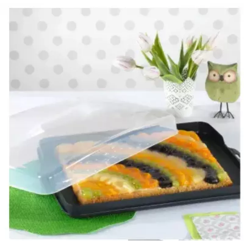 Hama 00111497 food service tray Rectangle Black, Transparent