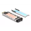 DeLOCK Mobile Rack PCI Express Card for 1 x M.2 NVMe SSD Low Profile