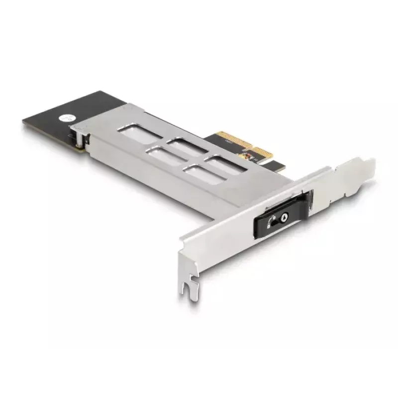 DeLOCK Mobile Rack PCI Express Card for 1 x M.2 NVMe SSD Low Profile