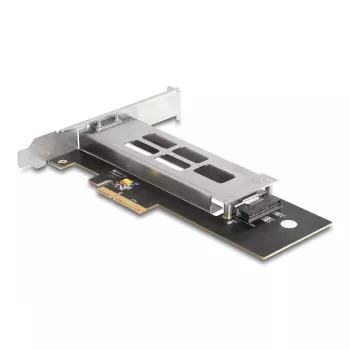 DeLOCK Mobile Rack PCI Express Card for 1 x M.2 NVMe SSD Low Profile