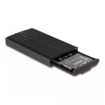 SSD enclosure DeLOCK 42022 External Enclosure USB 20 Gbps for 2 x M.2 NVMe PCIe SSD